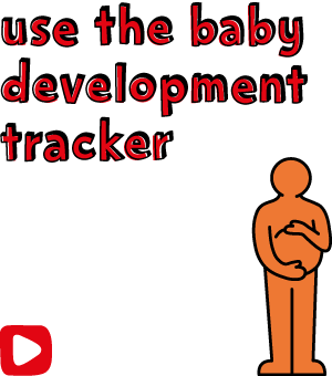 Use the baby development tracker